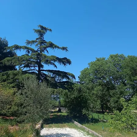 In Campagna Alberobello Santa Lucia (Brindisi)